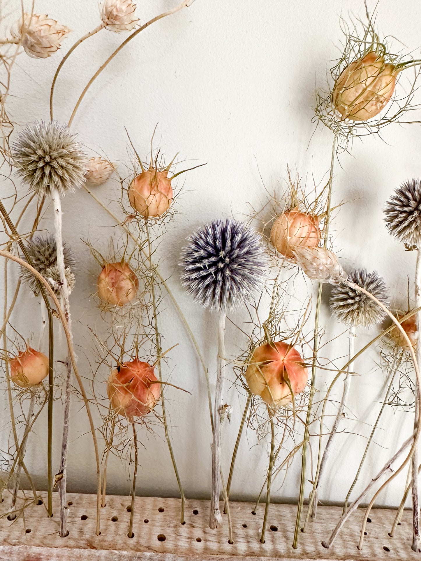 Dried flower bar - wild