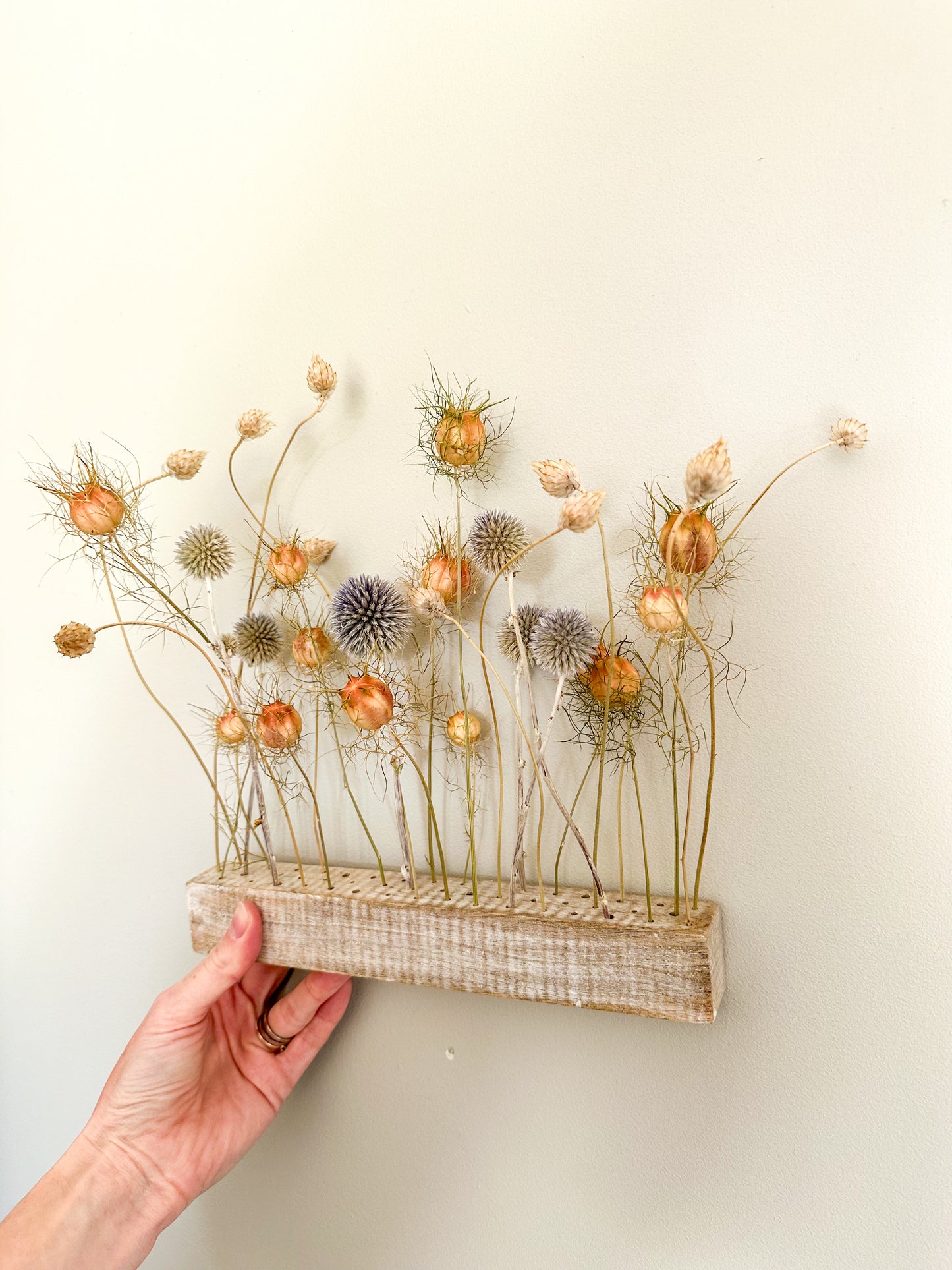 Dried flower bar - wild