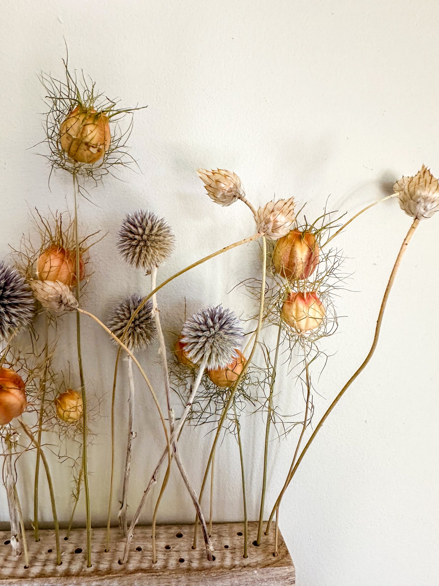 Dried flower bar - wild